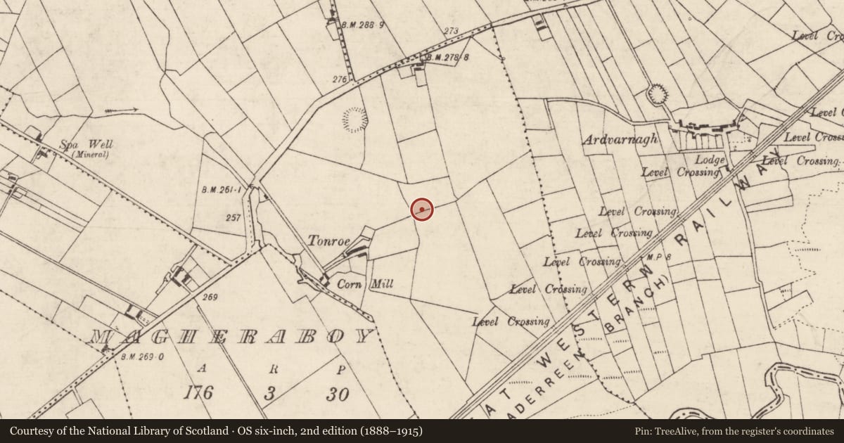 Ordnance Survey six-inch map, 2nd edition (1888–1915) covering the location of Fulacht fia, Toobrackan, County Roscommon, with a pin at the register's coordinates