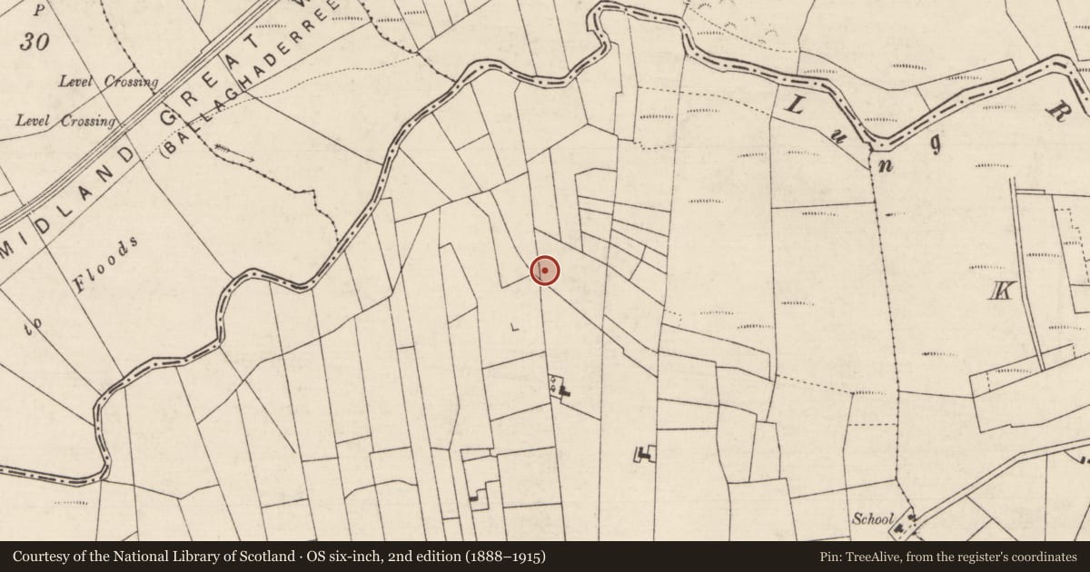 Ordnance Survey six-inch map, 2nd edition (1888–1915) covering the location of Fulacht fia, Banada, County Roscommon, with a pin at the register's coordinates