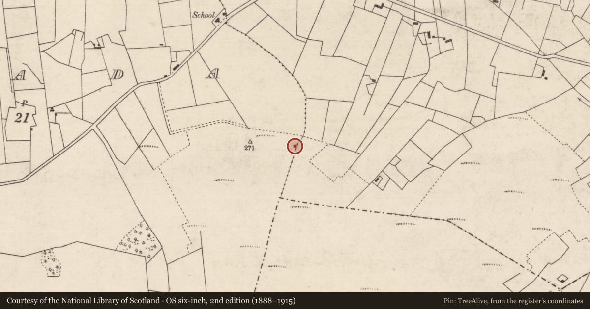 Ordnance Survey six-inch map, 2nd edition (1888–1915) covering the location of Burnt mound, Keelbanada, County Roscommon, with a pin at the register's coordinates