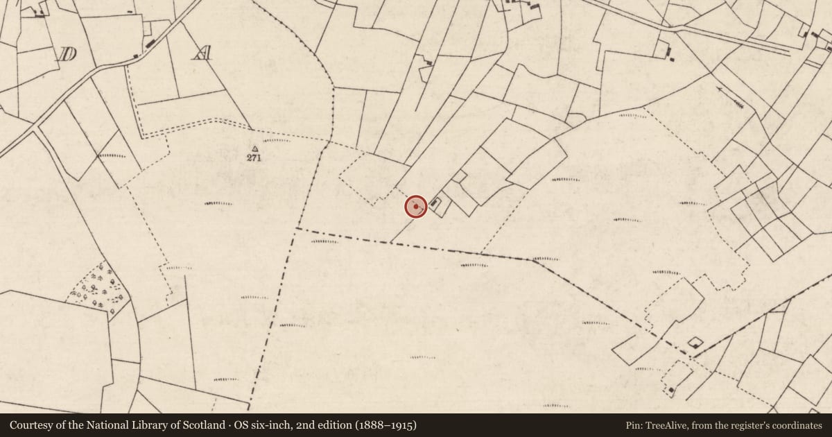 Ordnance Survey six-inch map, 2nd edition (1888–1915) covering the location of Fulacht fia, Keelbanada, County Roscommon, with a pin at the register's coordinates