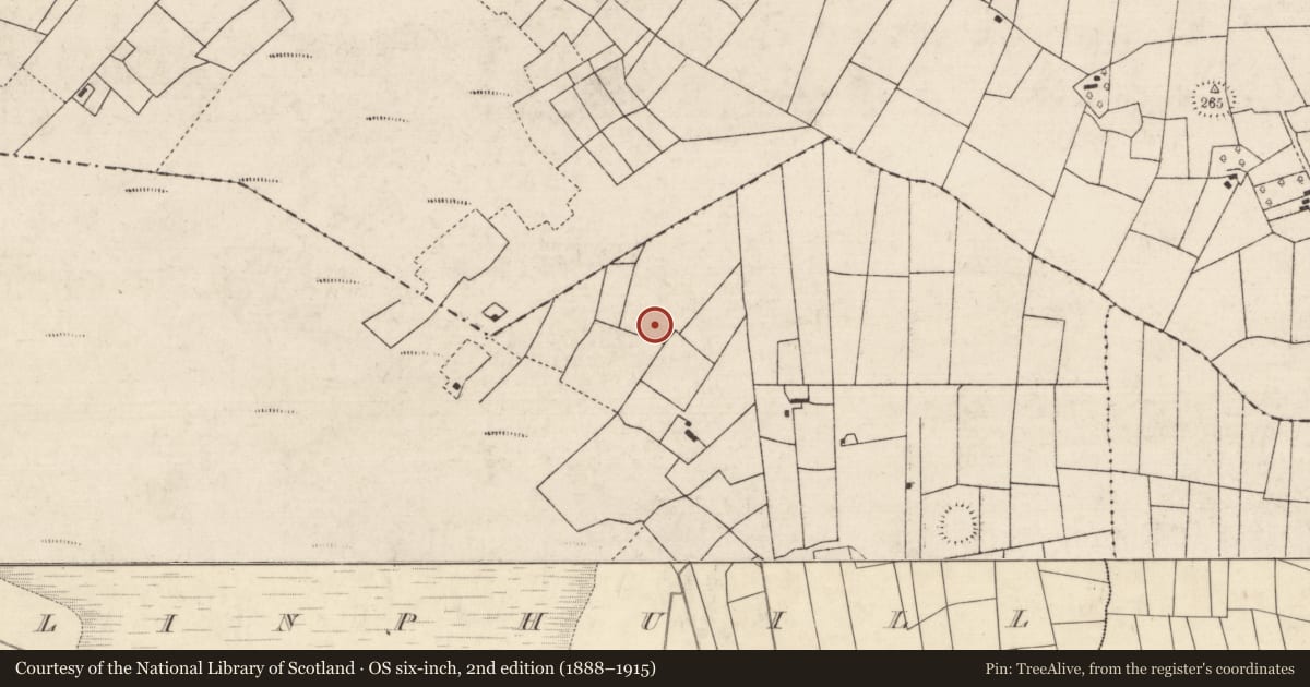 Ordnance Survey six-inch map, 2nd edition (1888–1915) covering the location of Excavation - miscellaneous, Ballinphuill, County Roscommon, with a pin at the register's coordinates