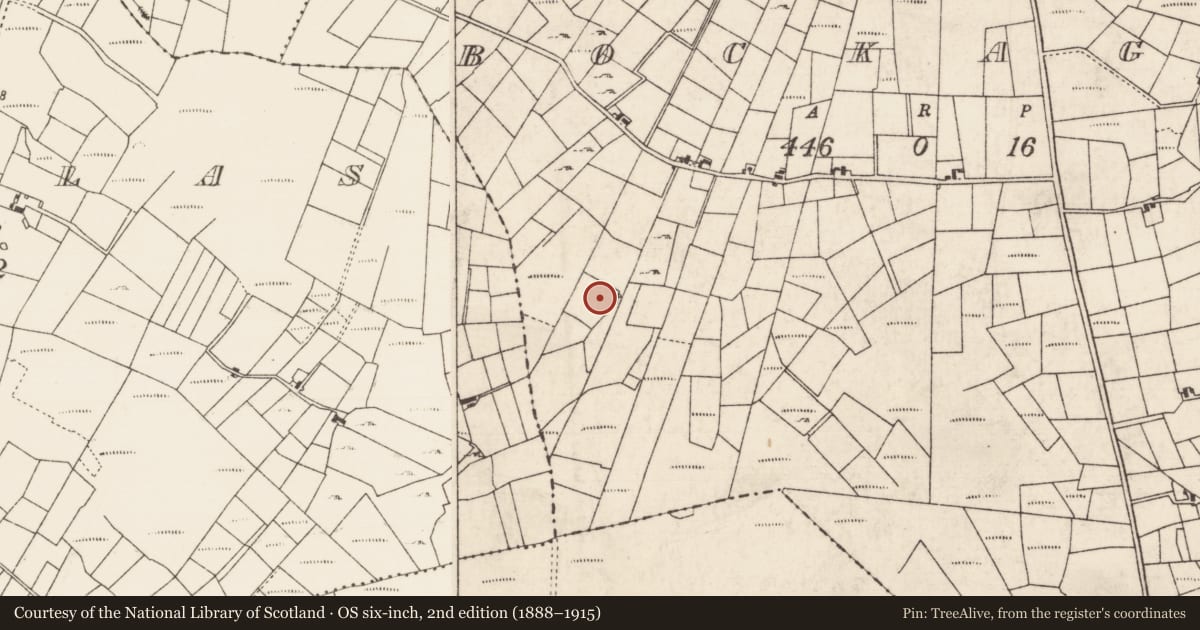 Ordnance Survey six-inch map, 2nd edition (1888–1915) covering the location of Fulacht fia, Bockagh, County Roscommon, with a pin at the register's coordinates