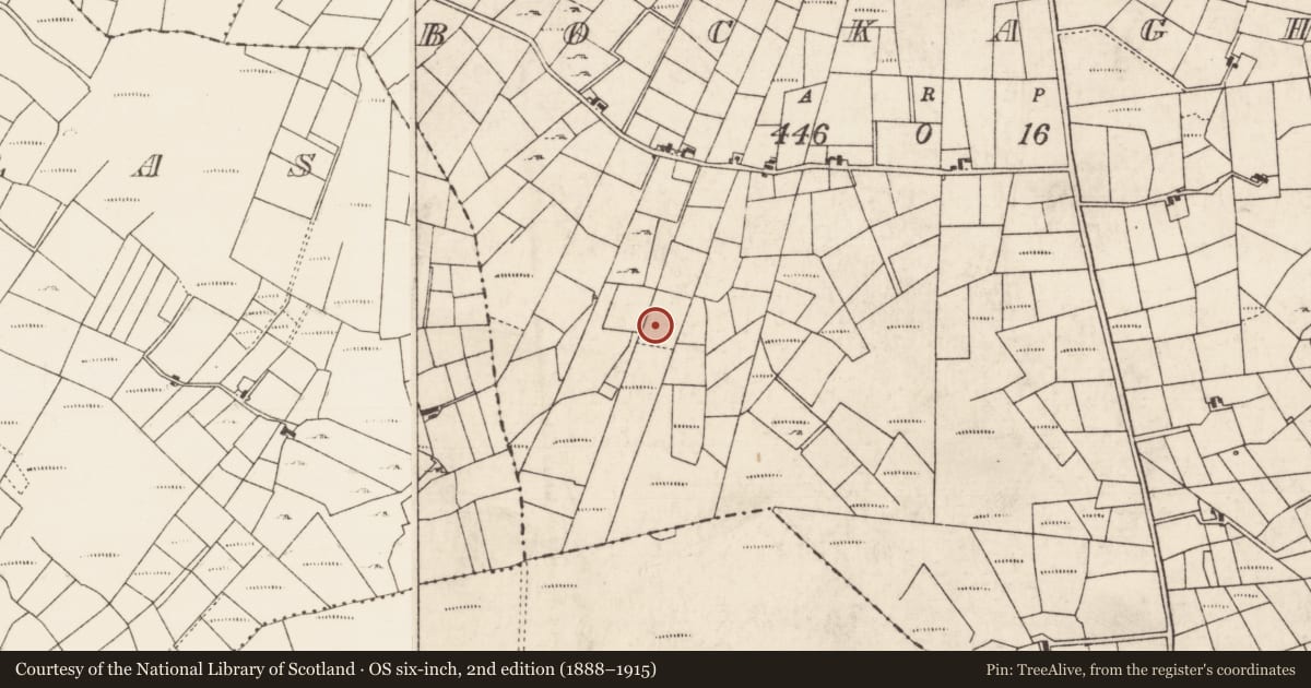 Ordnance Survey six-inch map, 2nd edition (1888–1915) covering the location of Fulacht fia, Bockagh, County Roscommon, with a pin at the register's coordinates