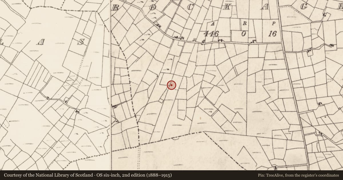 Ordnance Survey six-inch map, 2nd edition (1888–1915) covering the location of Fulacht fia, Bockagh, County Roscommon, with a pin at the register's coordinates