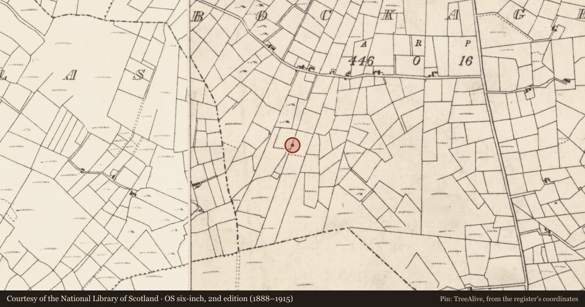 Ordnance Survey six-inch map, 2nd edition (1888–1915) covering the location of Burnt mound, Bockagh, County Roscommon, with a pin at the register's coordinates