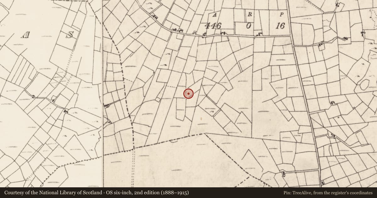 Ordnance Survey six-inch map, 2nd edition (1888–1915) covering the location of Fulacht fia, Bockagh, County Roscommon, with a pin at the register's coordinates