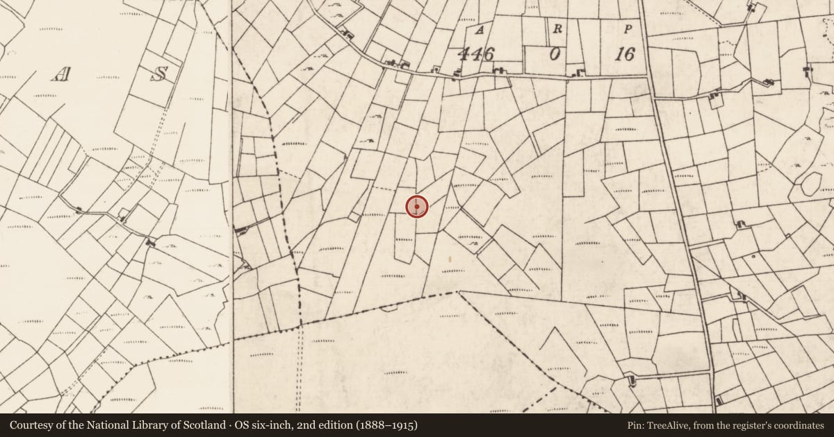 Ordnance Survey six-inch map, 2nd edition (1888–1915) covering the location of Fulacht fia, Bockagh, County Roscommon, with a pin at the register's coordinates