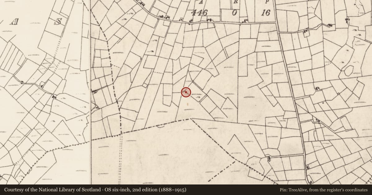 Ordnance Survey six-inch map, 2nd edition (1888–1915) covering the location of Hearth, Bockagh, County Roscommon, with a pin at the register's coordinates
