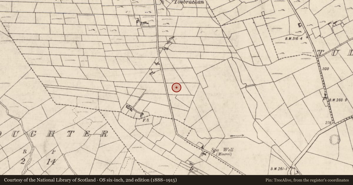 Ordnance Survey six-inch map, 2nd edition (1888–1915) covering the location of Excavation - miscellaneous, Toobrackan, County Roscommon, with a pin at the register's coordinates