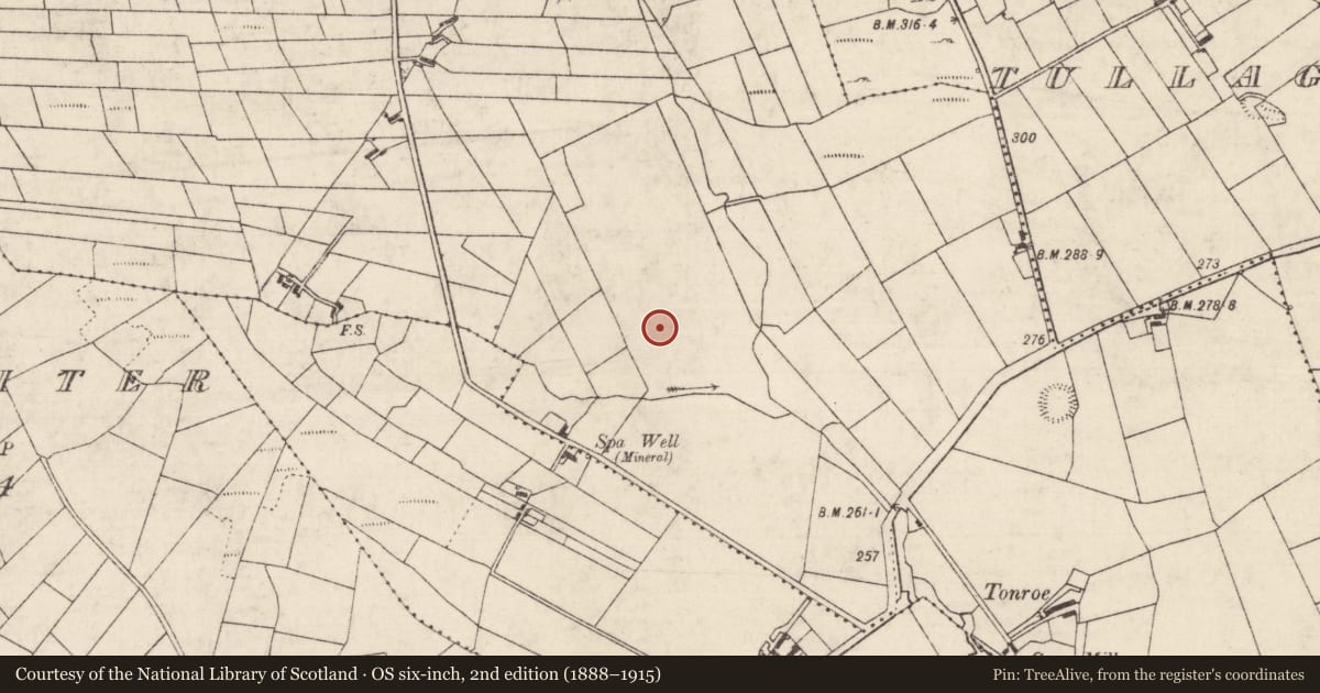 Ordnance Survey six-inch map, 2nd edition (1888–1915) covering the location of Excavation - miscellaneous, Toobrackan, County Roscommon, with a pin at the register's coordinates