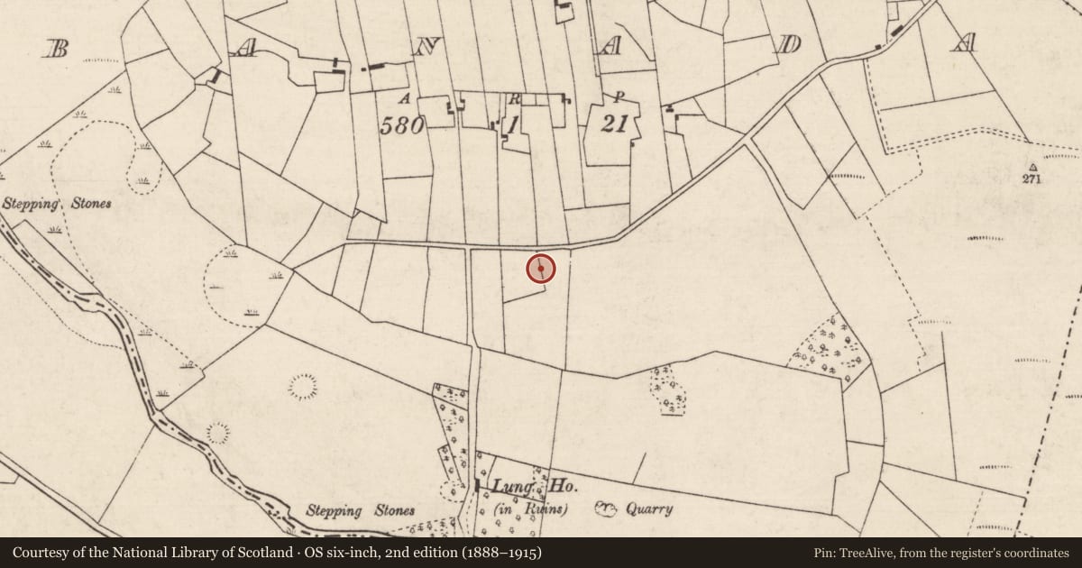 Ordnance Survey six-inch map, 2nd edition (1888–1915) covering the location of Ringfort - rath, Banada, County Roscommon, with a pin at the register's coordinates