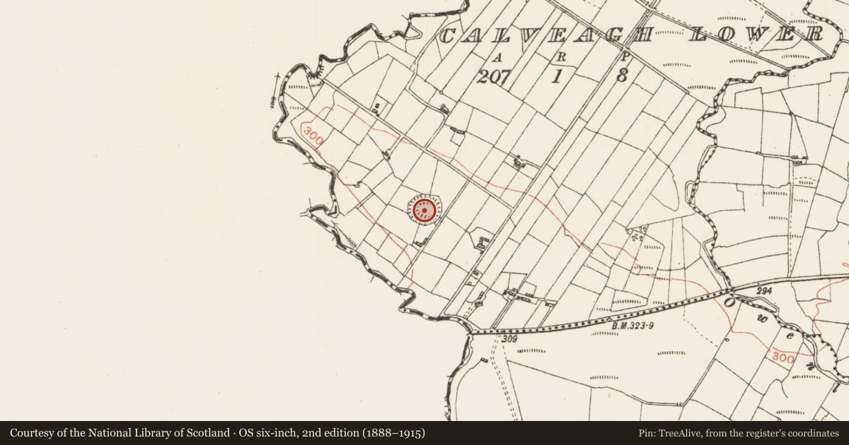 Ordnance Survey six-inch map, 2nd edition (1888–1915) covering the location of Ringfort - rath, Calveagh Lower, County Roscommon, with a pin at the register's coordinates