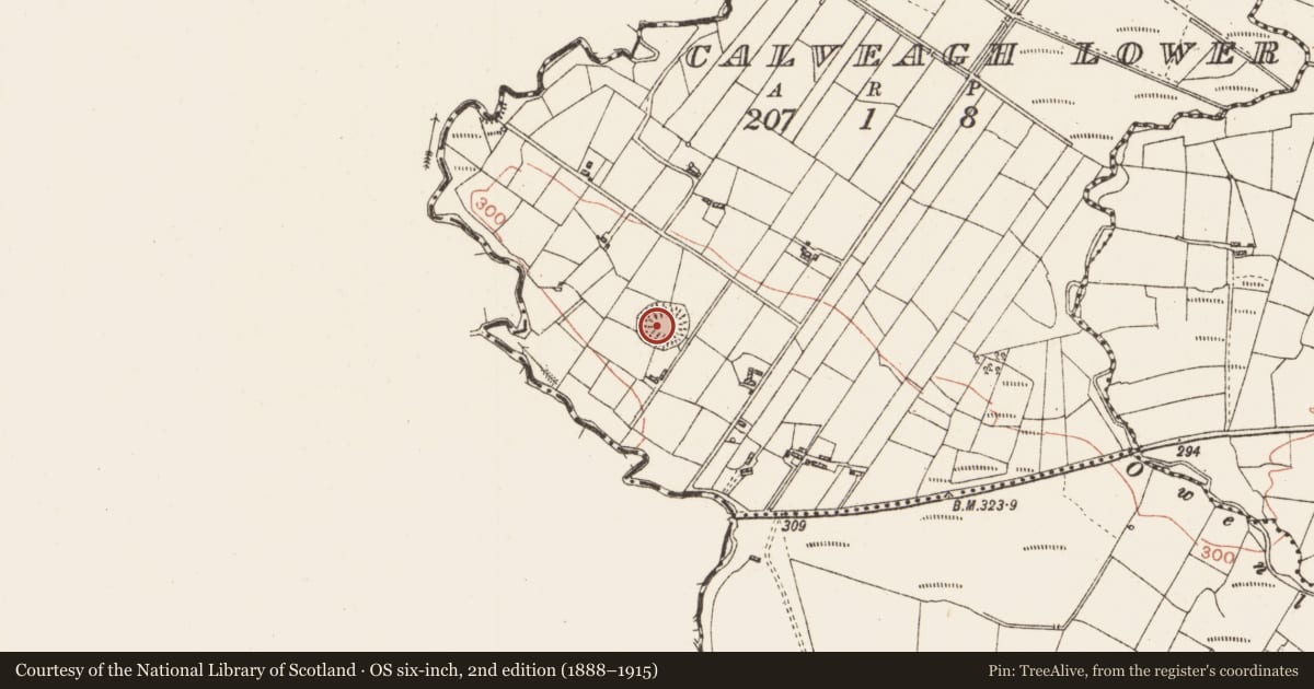Ordnance Survey six-inch map, 2nd edition (1888–1915) covering the location of Mound, Calveagh Lower, County Roscommon, with a pin at the register's coordinates