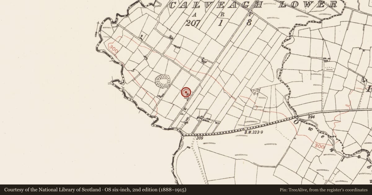 Ordnance Survey six-inch map, 2nd edition (1888–1915) covering the location of Earthwork, Calveagh Lower, County Roscommon, with a pin at the register's coordinates