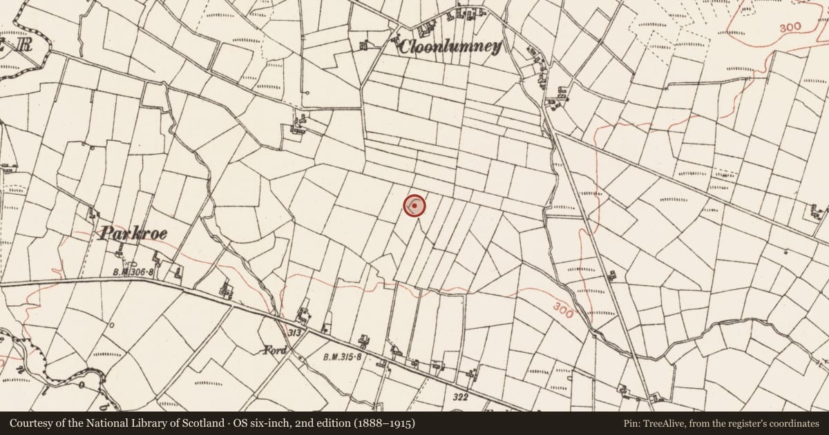 Ordnance Survey six-inch map, 2nd edition (1888–1915) covering the location of Ringfort - cashel, Cloonlumney, County Roscommon, with a pin at the register's coordinates