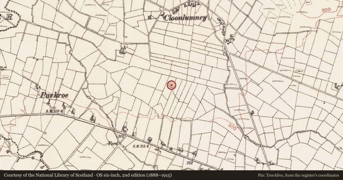 Ordnance Survey six-inch map, 2nd edition (1888–1915) covering the location of Children's burial ground, Cloonlumney, County Roscommon, with a pin at the register's coordinates