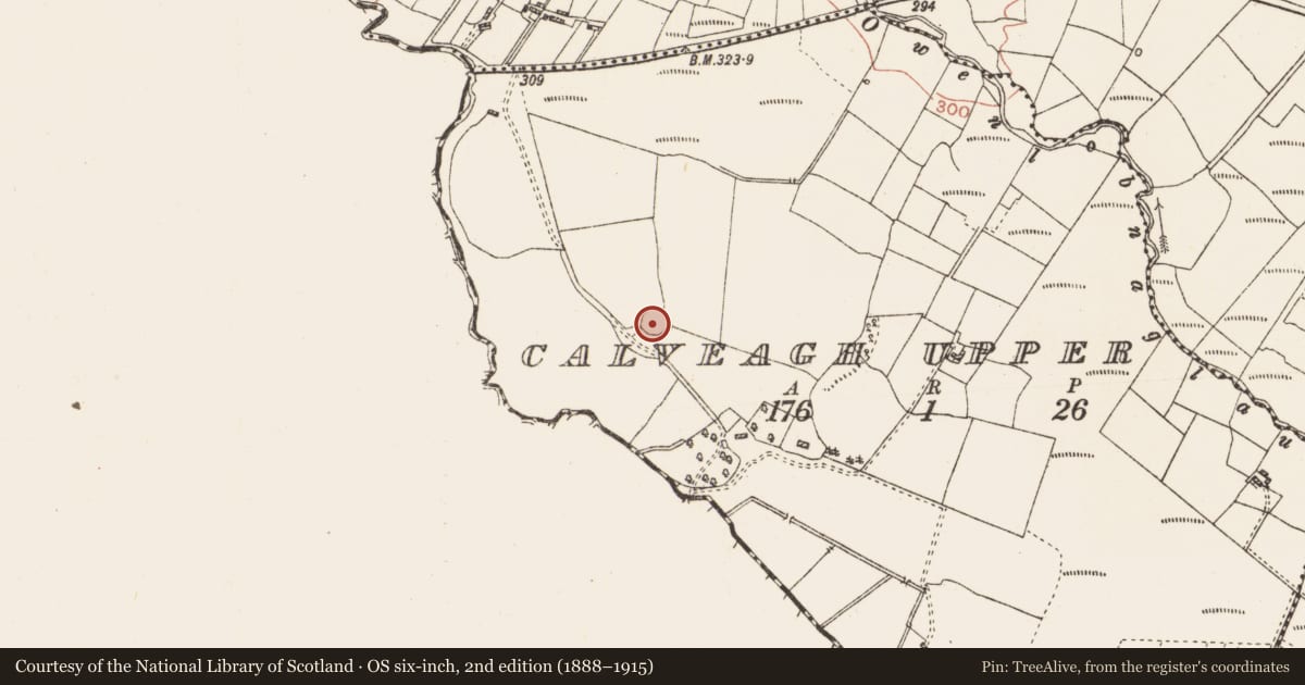 Ordnance Survey six-inch map, 2nd edition (1888–1915) covering the location of Ringfort - cashel, Calveagh Upper, County Roscommon, with a pin at the register's coordinates