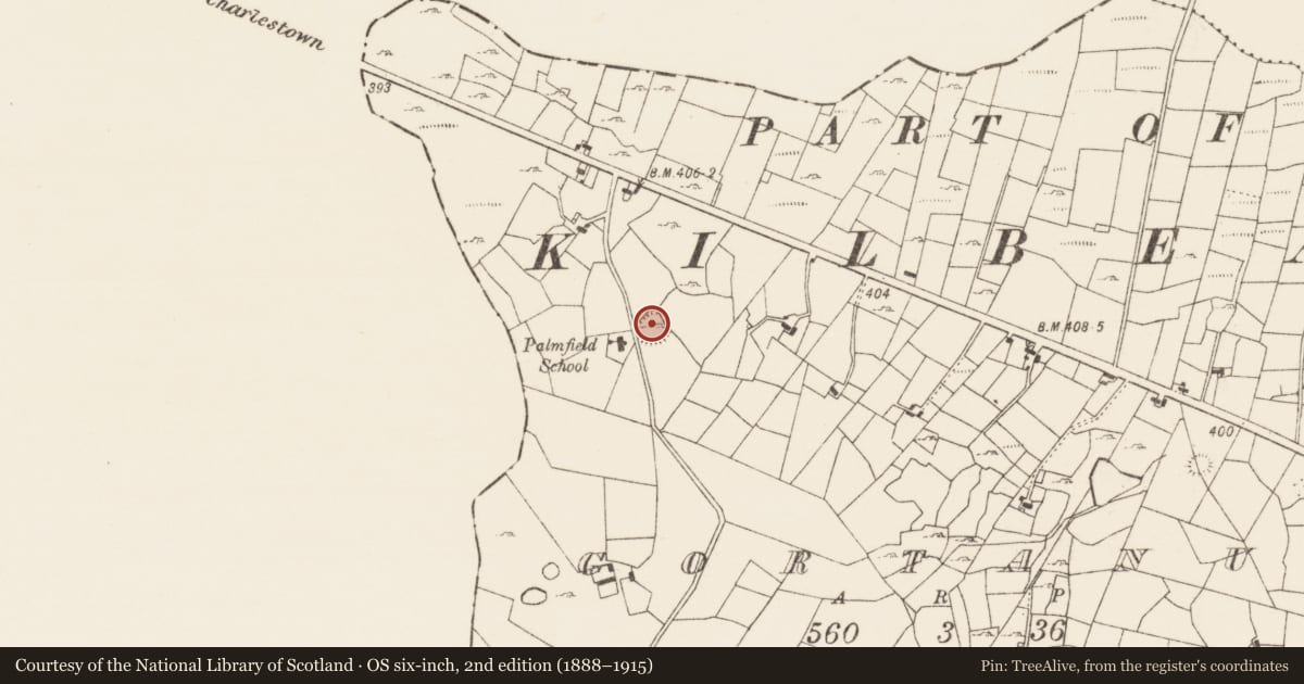 Ordnance Survey six-inch map, 2nd edition (1888–1915) covering the location of Ringfort - cashel, Gortanure, County Roscommon, with a pin at the register's coordinates