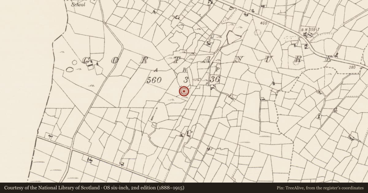 Ordnance Survey six-inch map, 2nd edition (1888–1915) covering the location of Ringfort - rath, Gortanure, County Roscommon, with a pin at the register's coordinates