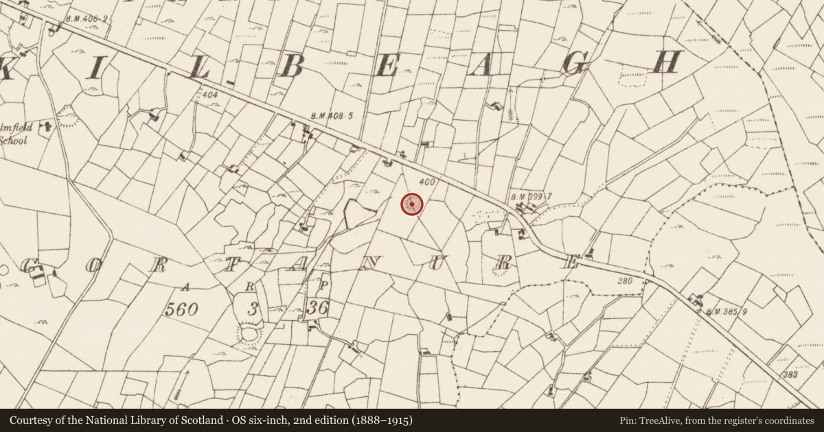 Ordnance Survey six-inch map, 2nd edition (1888–1915) covering the location of Ringfort - rath, Gortanure, County Roscommon, with a pin at the register's coordinates