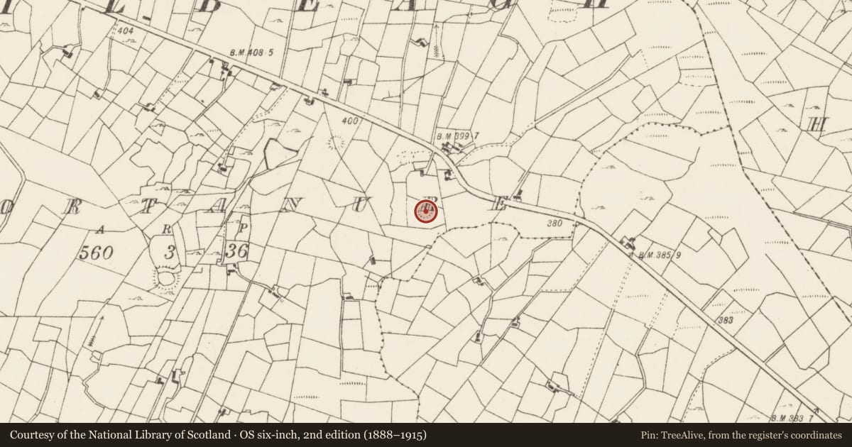 Ordnance Survey six-inch map, 2nd edition (1888–1915) covering the location of Ringfort - rath, Gortanure, County Roscommon, with a pin at the register's coordinates
