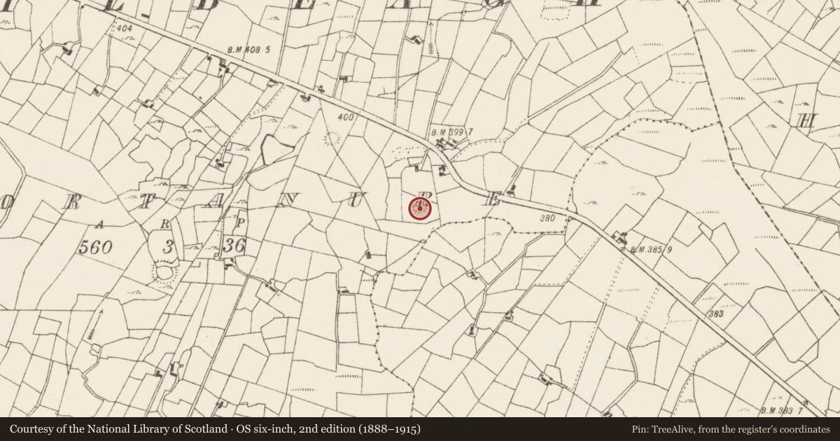 Ordnance Survey six-inch map, 2nd edition (1888–1915) covering the location of Children's burial ground, Gortanure, County Roscommon, with a pin at the register's coordinates