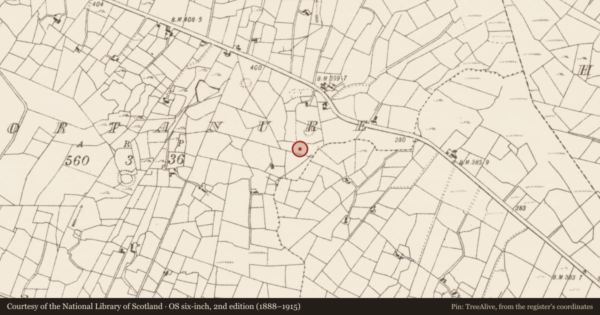 Ordnance Survey six-inch map, 2nd edition (1888–1915) covering the location of Excavation - miscellaneous, Gortanure, County Roscommon, with a pin at the register's coordinates