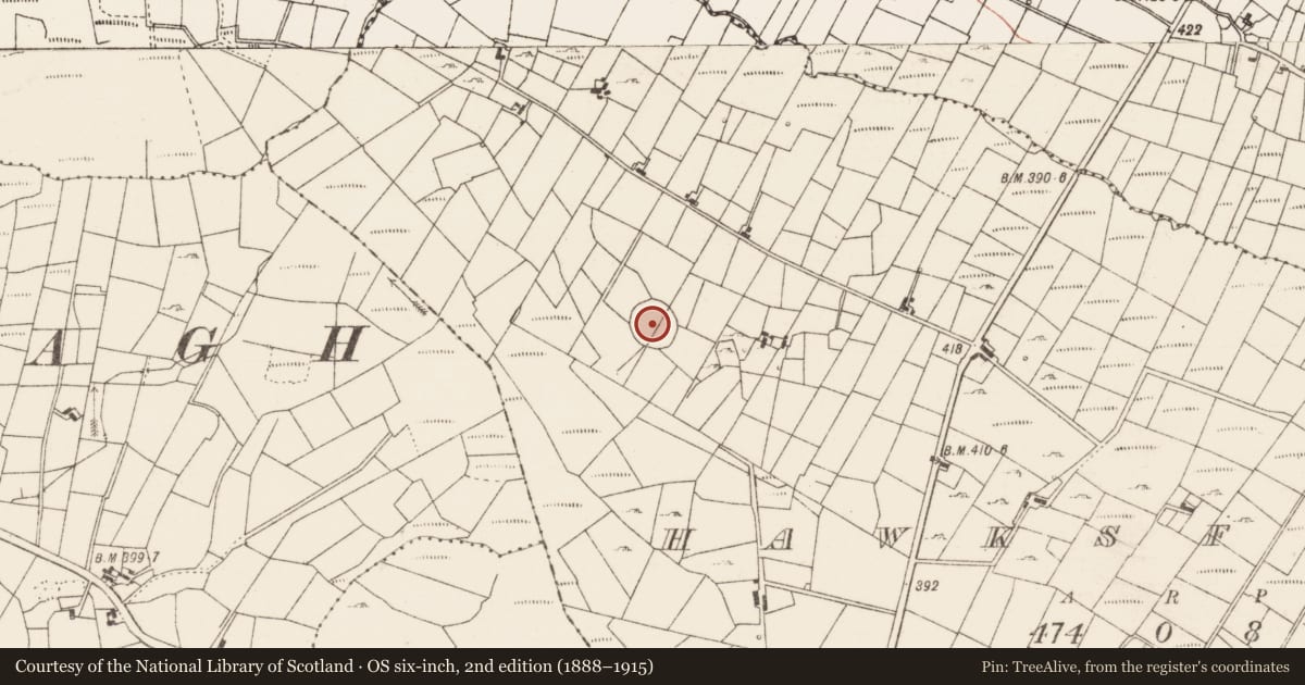 Ordnance Survey six-inch map, 2nd edition (1888–1915) covering the location of Ringfort - cashel, Hawksford, County Roscommon, with a pin at the register's coordinates