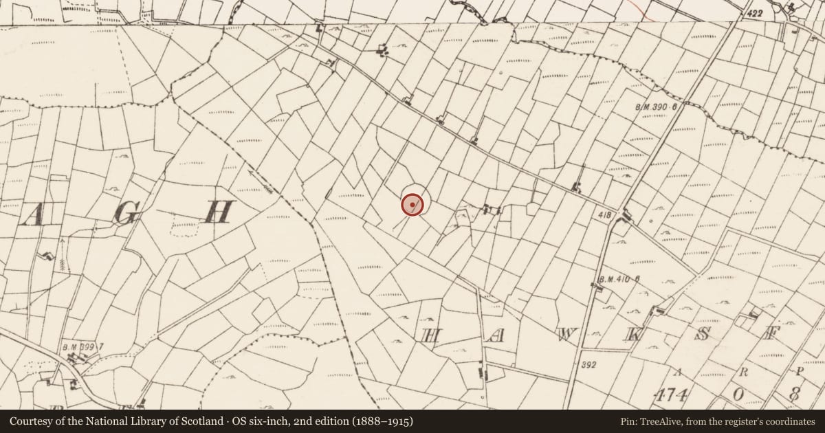 Ordnance Survey six-inch map, 2nd edition (1888–1915) covering the location of Children's burial ground, Hawksford, County Roscommon, with a pin at the register's coordinates