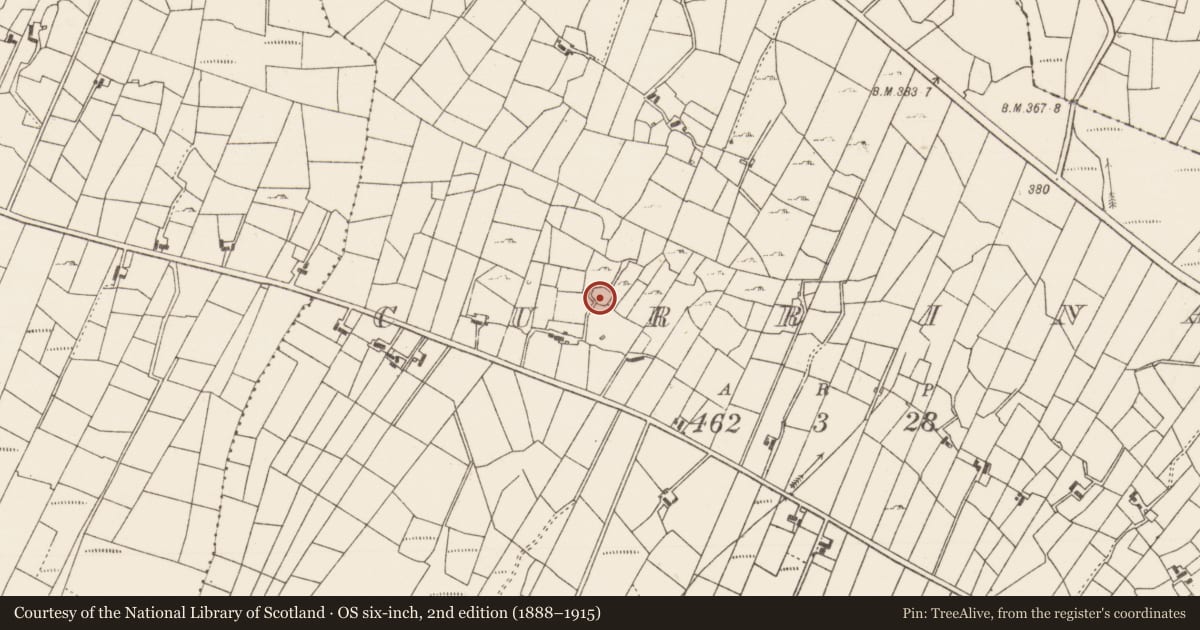 Ordnance Survey six-inch map, 2nd edition (1888–1915) covering the location of Ringfort - cashel, Currinah, County Roscommon, with a pin at the register's coordinates