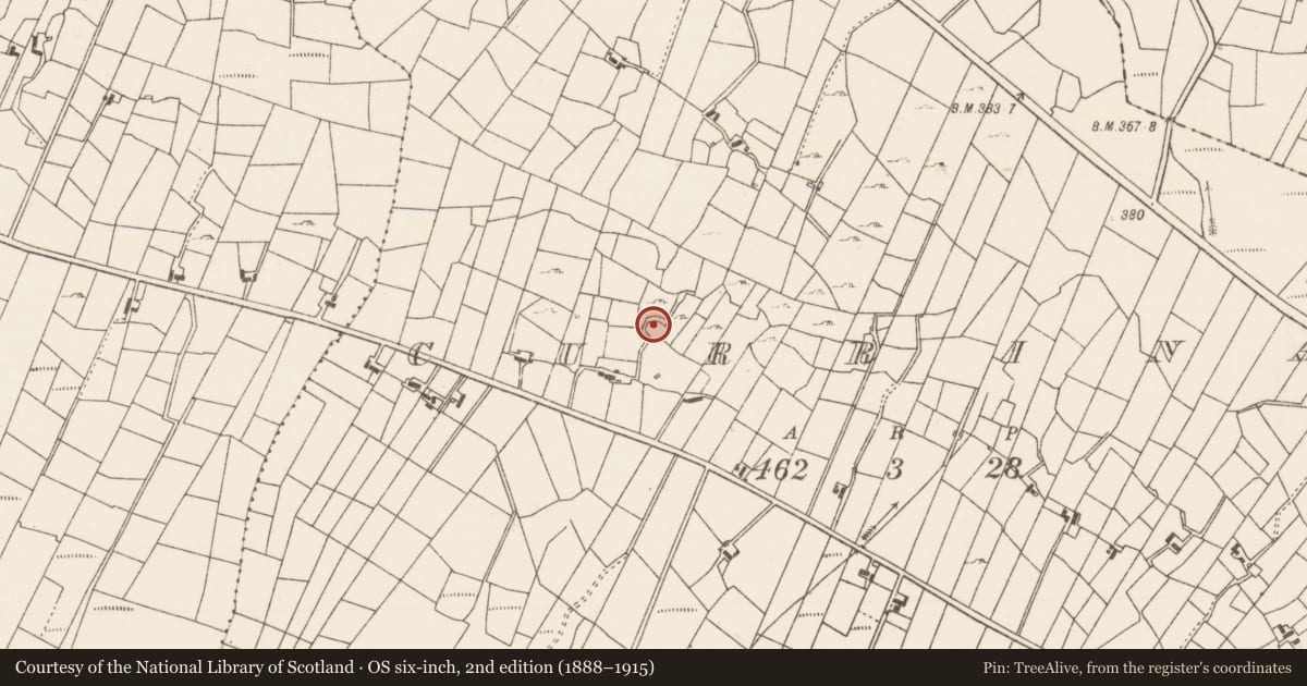 Ordnance Survey six-inch map, 2nd edition (1888–1915) covering the location of Souterrain, Currinah, County Roscommon, with a pin at the register's coordinates
