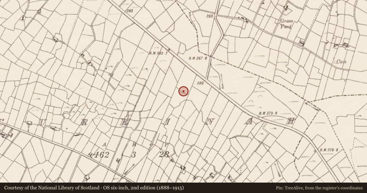 Ordnance Survey six-inch map, 2nd edition (1888–1915) covering the location of Earthwork, Currinah, County Roscommon, with a pin at the register's coordinates