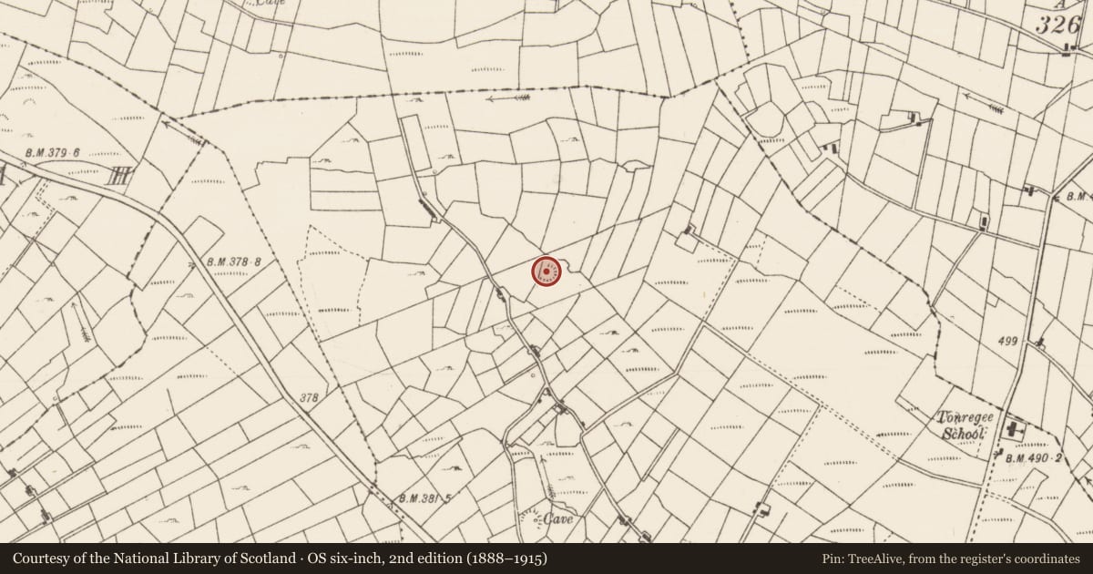 Ordnance Survey six-inch map, 2nd edition (1888–1915) covering the location of Ringfort - rath, Bohalas, County Roscommon, with a pin at the register's coordinates