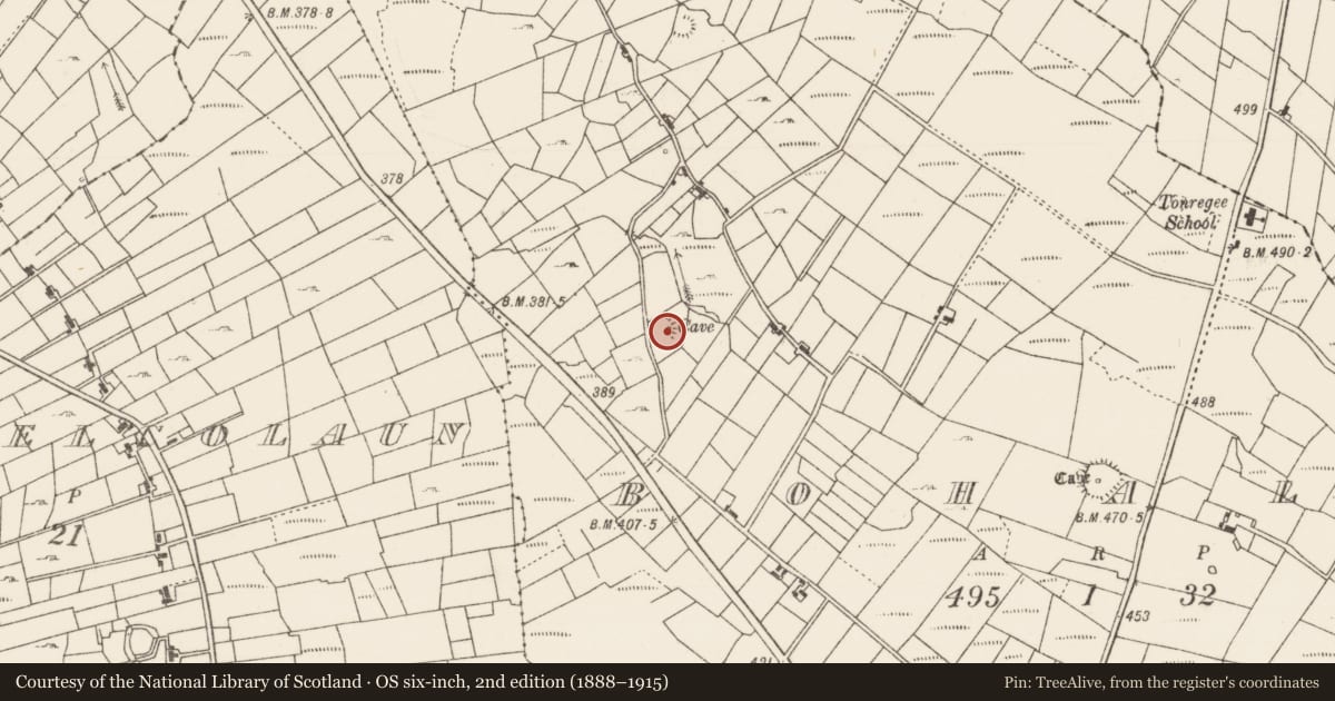 Ordnance Survey six-inch map, 2nd edition (1888–1915) covering the location of Ringfort - rath, Bohalas, County Roscommon, with a pin at the register's coordinates