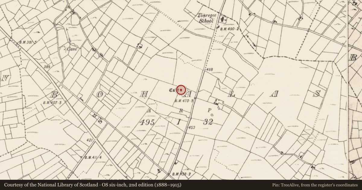 Ordnance Survey six-inch map, 2nd edition (1888–1915) covering the location of Ringfort - cashel, Bohalas, County Roscommon, with a pin at the register's coordinates