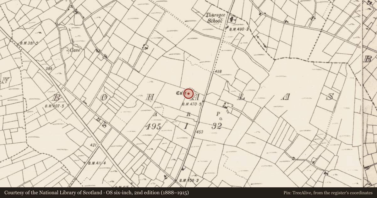 Ordnance Survey six-inch map, 2nd edition (1888–1915) covering the location of Souterrain, Bohalas, County Roscommon, with a pin at the register's coordinates