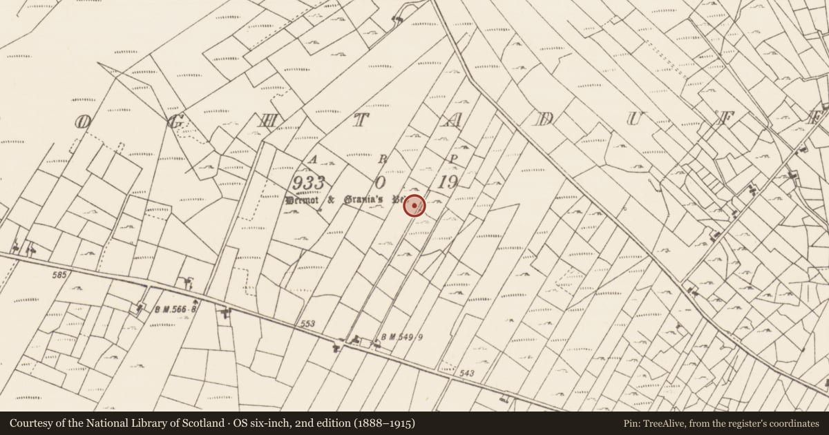 Ordnance Survey six-inch map, 2nd edition (1888–1915) covering the location of Megalithic structure, Boghtaduff, County Roscommon, with a pin at the register's coordinates