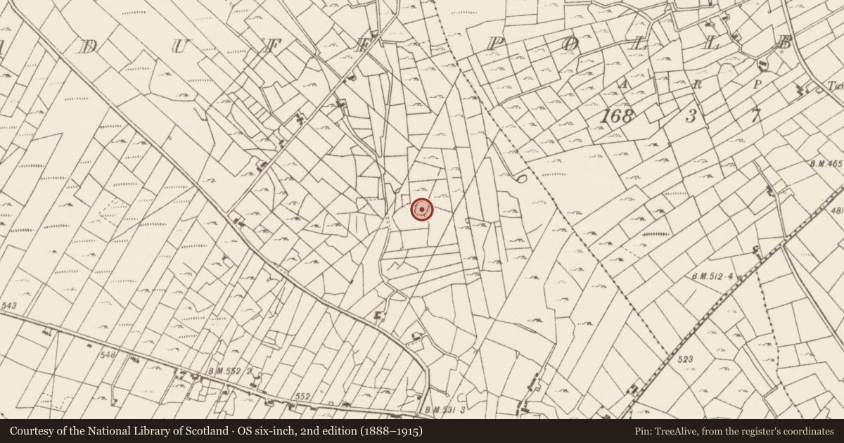 Ordnance Survey six-inch map, 2nd edition (1888–1915) covering the location of Ringfort - cashel, Boghtaduff, County Roscommon, with a pin at the register's coordinates