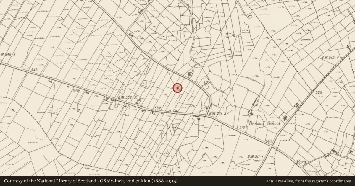 Ordnance Survey six-inch map, 2nd edition (1888–1915) covering the location of Cairn - clearance cairn, Boghtaduff, County Roscommon, with a pin at the register's coordinates
