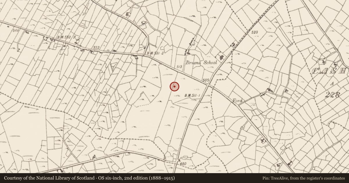 Ordnance Survey six-inch map, 2nd edition (1888–1915) covering the location of Ceremonial enclosure, Boghtaduff, County Roscommon, with a pin at the register's coordinates