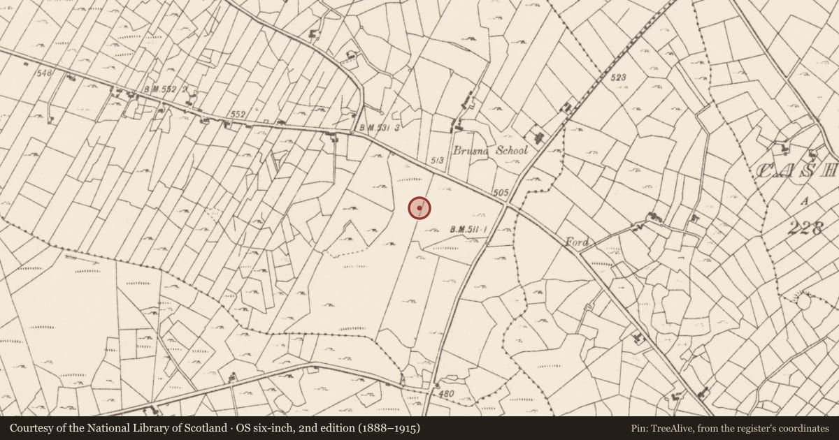 Ordnance Survey six-inch map, 2nd edition (1888–1915) covering the location of Children's burial ground, Boghtaduff, County Roscommon, with a pin at the register's coordinates