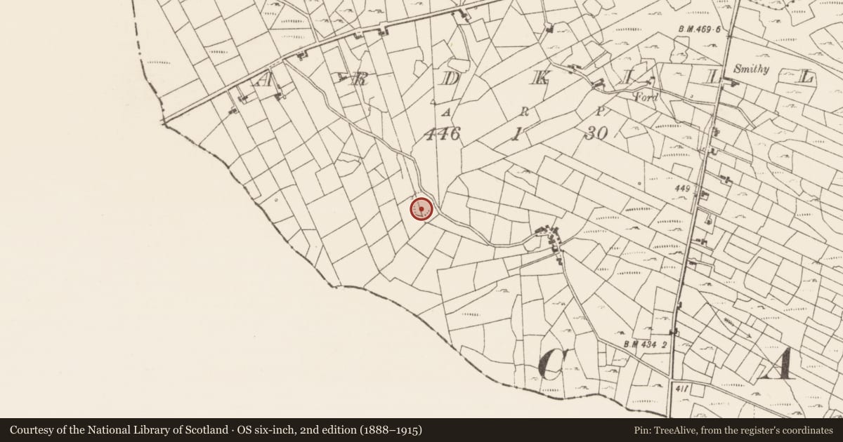 Ordnance Survey six-inch map, 2nd edition (1888–1915) covering the location of Ringfort - rath, Ardkill, County Roscommon, with a pin at the register's coordinates