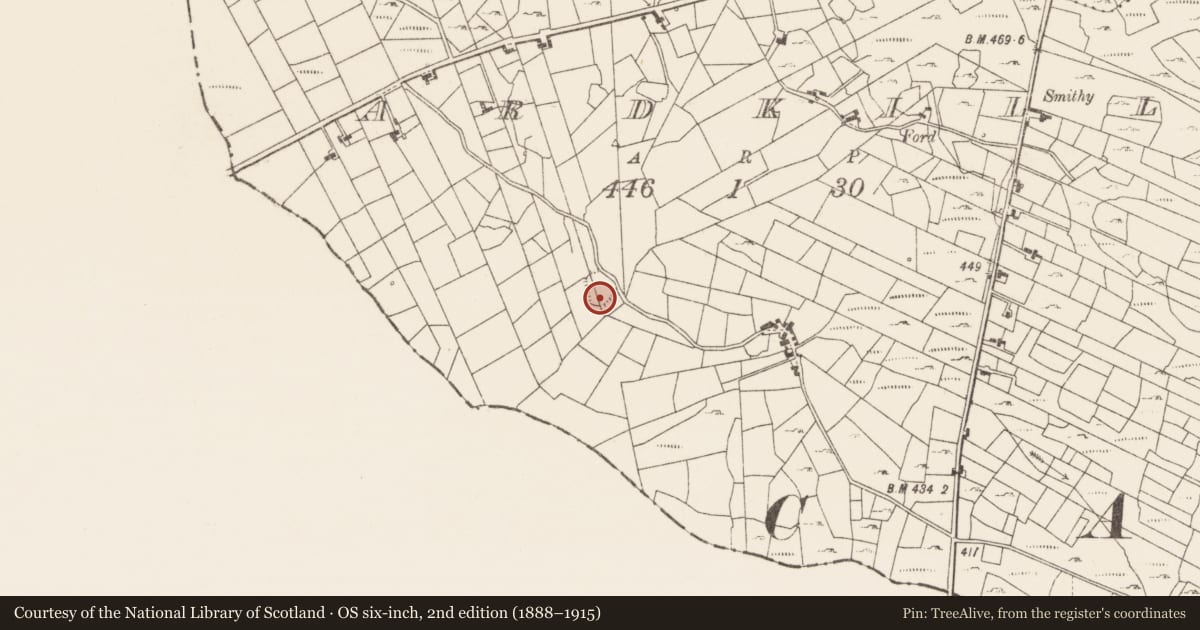 Ordnance Survey six-inch map, 2nd edition (1888–1915) covering the location of Children's burial ground, Ardkill, County Roscommon, with a pin at the register's coordinates
