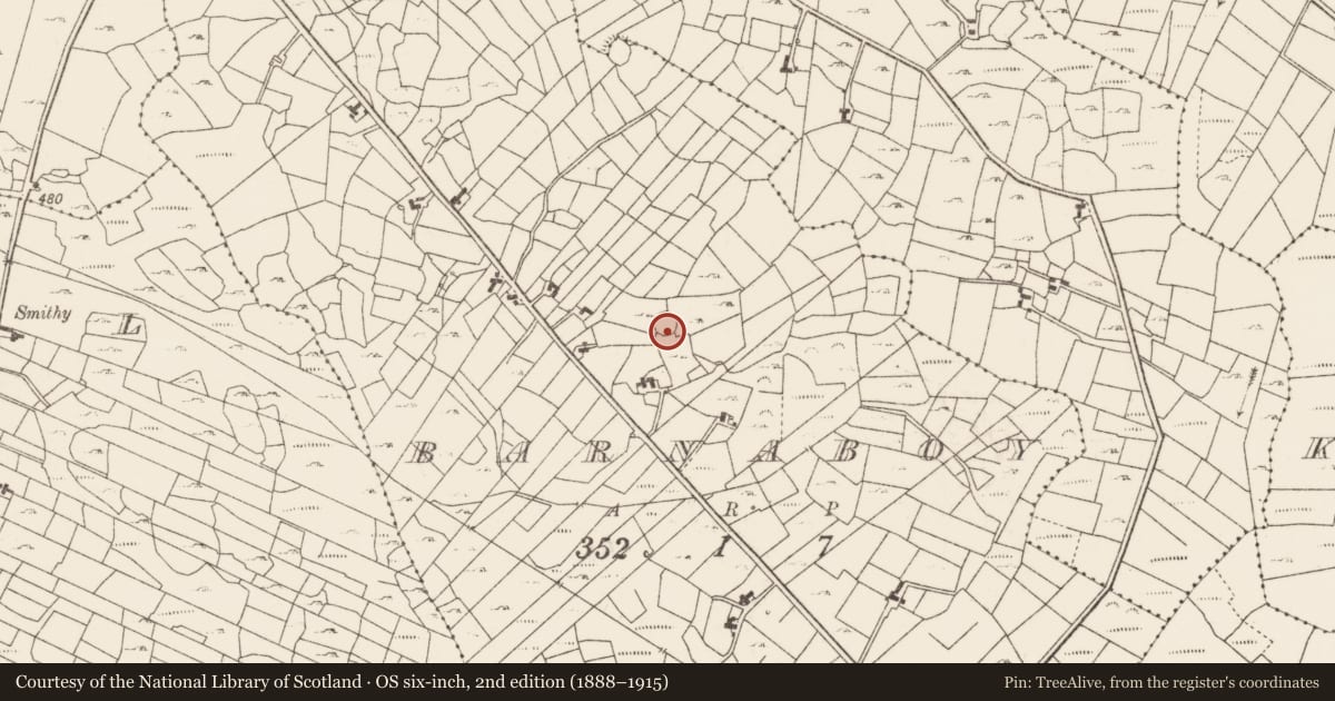 Ordnance Survey six-inch map, 2nd edition (1888–1915) covering the location of Ringfort - cashel, Barnaboy, County Roscommon, with a pin at the register's coordinates