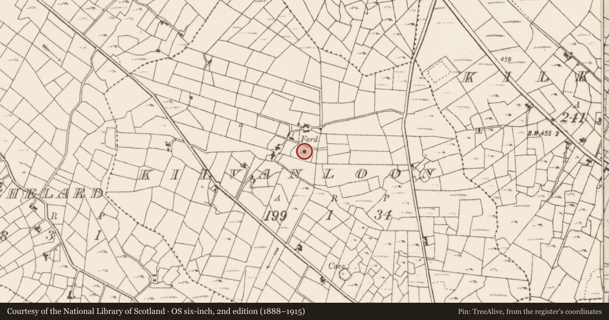 Ordnance Survey six-inch map, 2nd edition (1888–1915) covering the location of Enclosure, Kilvanloon, County Roscommon, with a pin at the register's coordinates