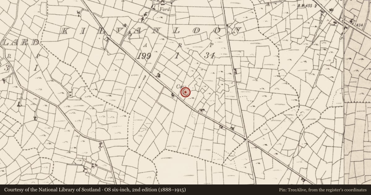 Ordnance Survey six-inch map, 2nd edition (1888–1915) covering the location of Ringfort - cashel, Kilvanloon, County Roscommon, with a pin at the register's coordinates