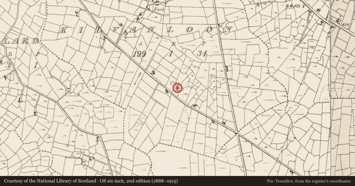 Ordnance Survey six-inch map, 2nd edition (1888–1915) covering the location of Souterrain, Kilvanloon, County Roscommon, with a pin at the register's coordinates