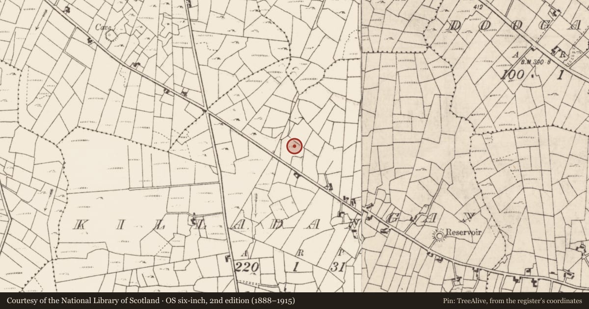 Ordnance Survey six-inch map, 2nd edition (1888–1915) covering the location of Standing stone, Killadangan, County Roscommon, with a pin at the register's coordinates