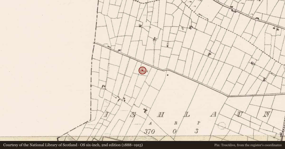Ordnance Survey six-inch map, 2nd edition (1888–1915) covering the location of Souterrain, Ishlaun, County Roscommon, with a pin at the register's coordinates