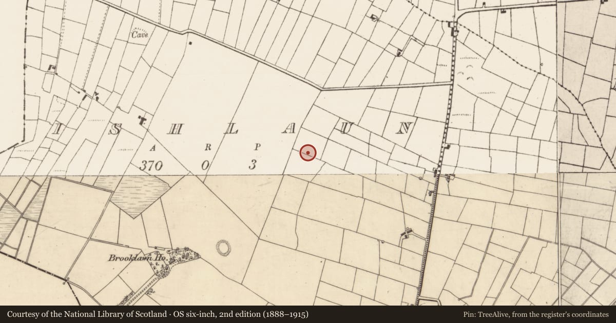 Ordnance Survey six-inch map, 2nd edition (1888–1915) covering the location of Ringfort - rath, Ishlaun, County Roscommon, with a pin at the register's coordinates